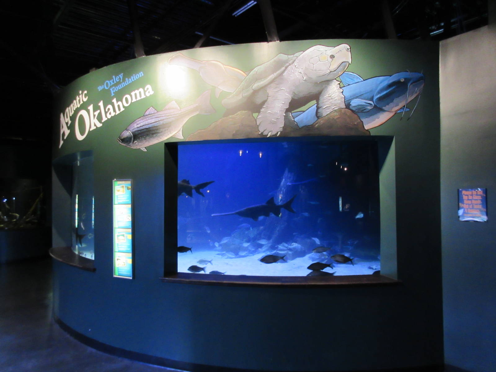 Aquatic Oklahoma - Paddlefish Exhibit