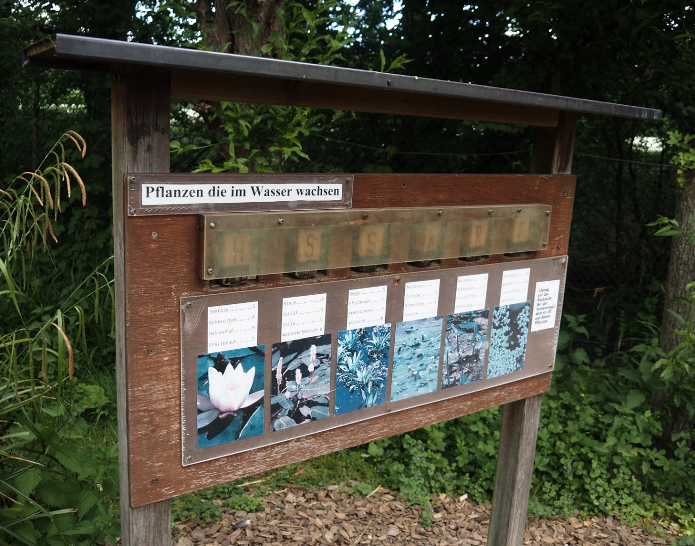 Aquatic plant signage in the wldlife pond and aquatic native wildlife education area, 2025-05-22