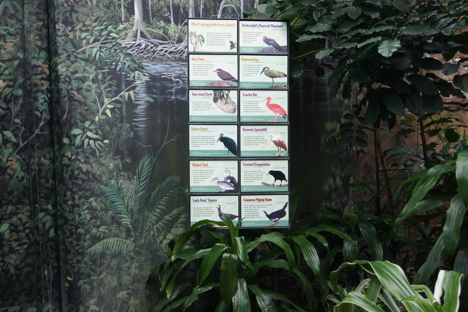 Aquatic Room Species Signs