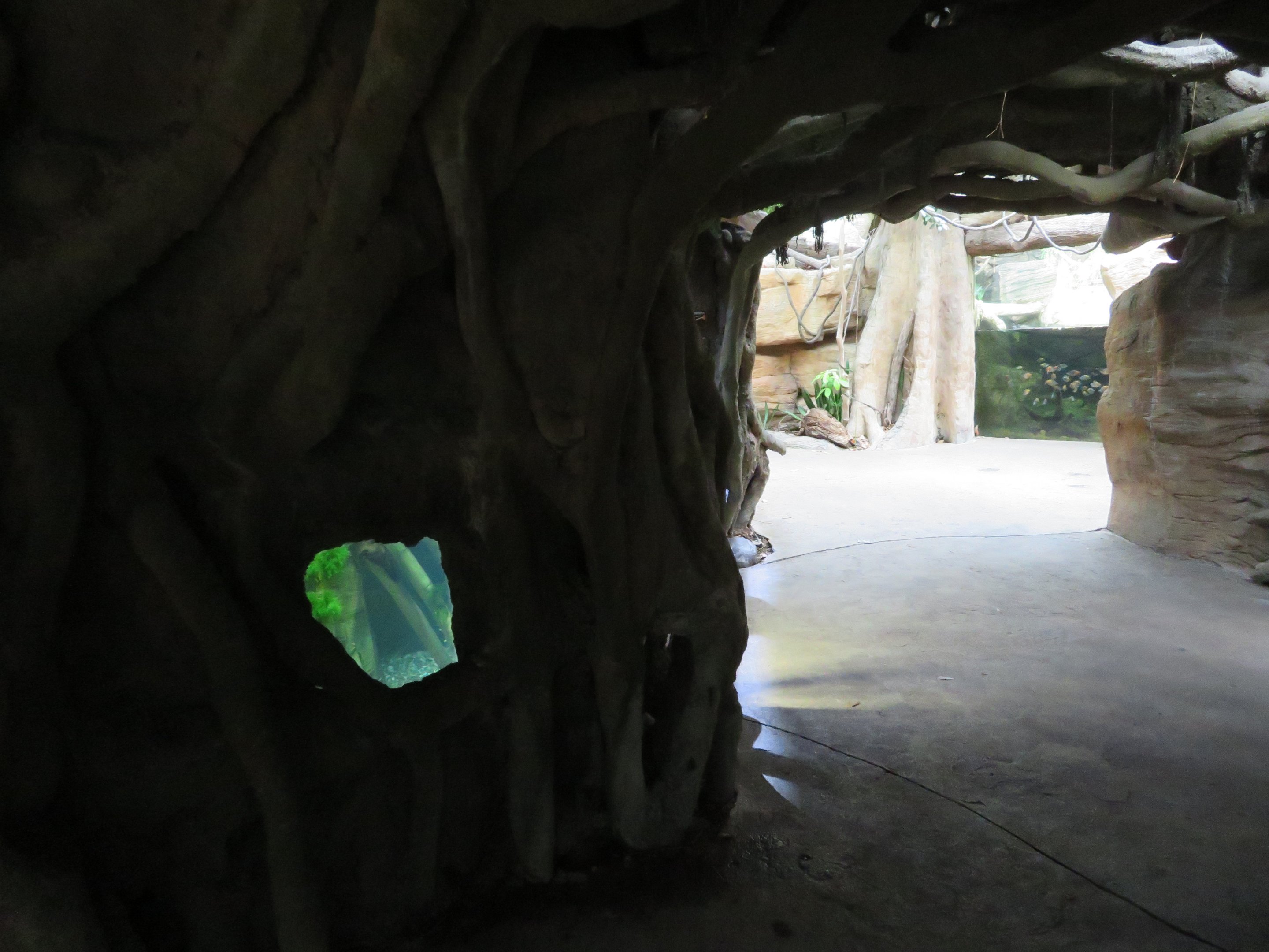 Aquatic Section of Rainforest Building