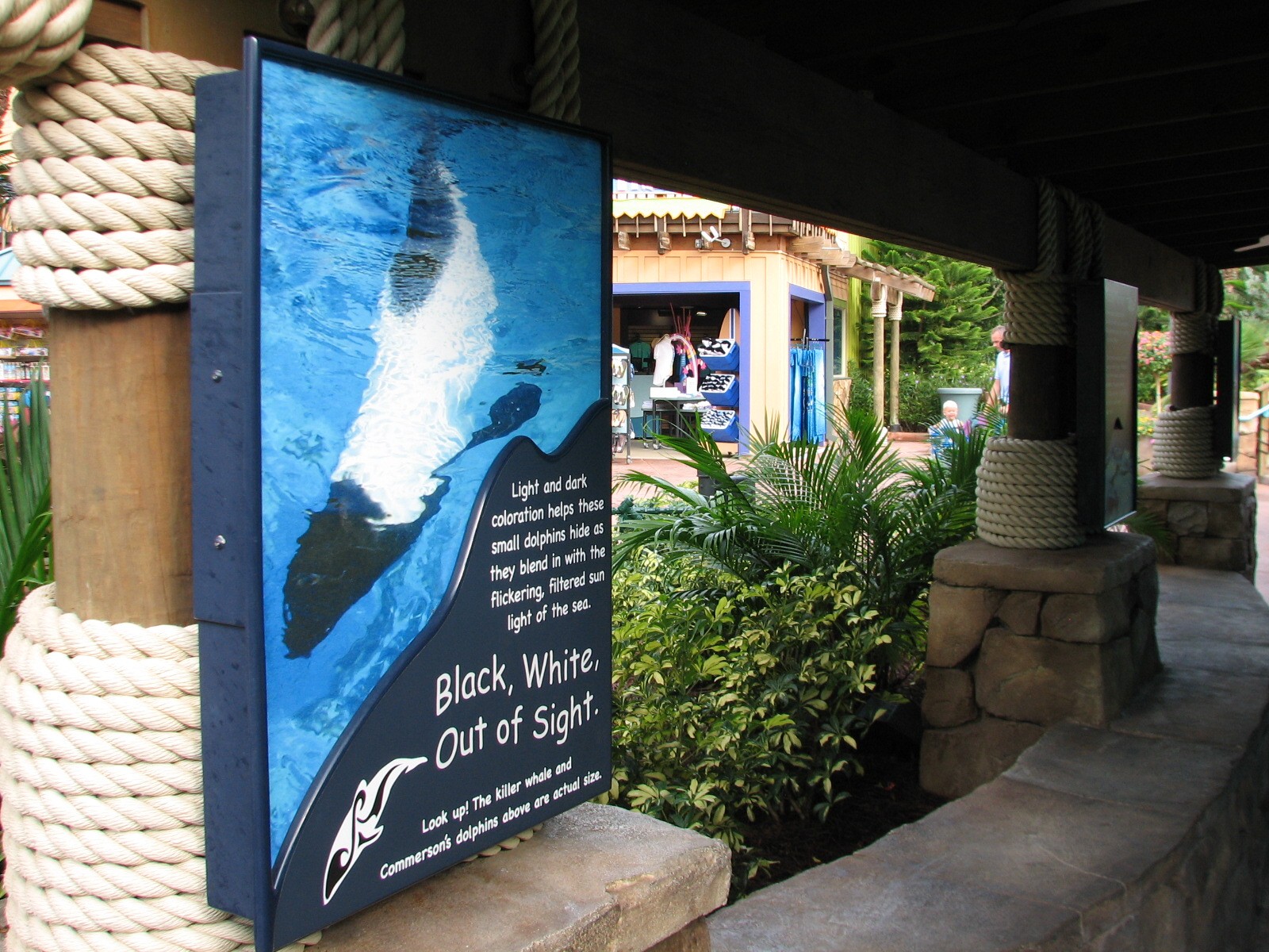 Aquatica - Dolphin Plunge - Commerson's Dolphin Exhibit Sign