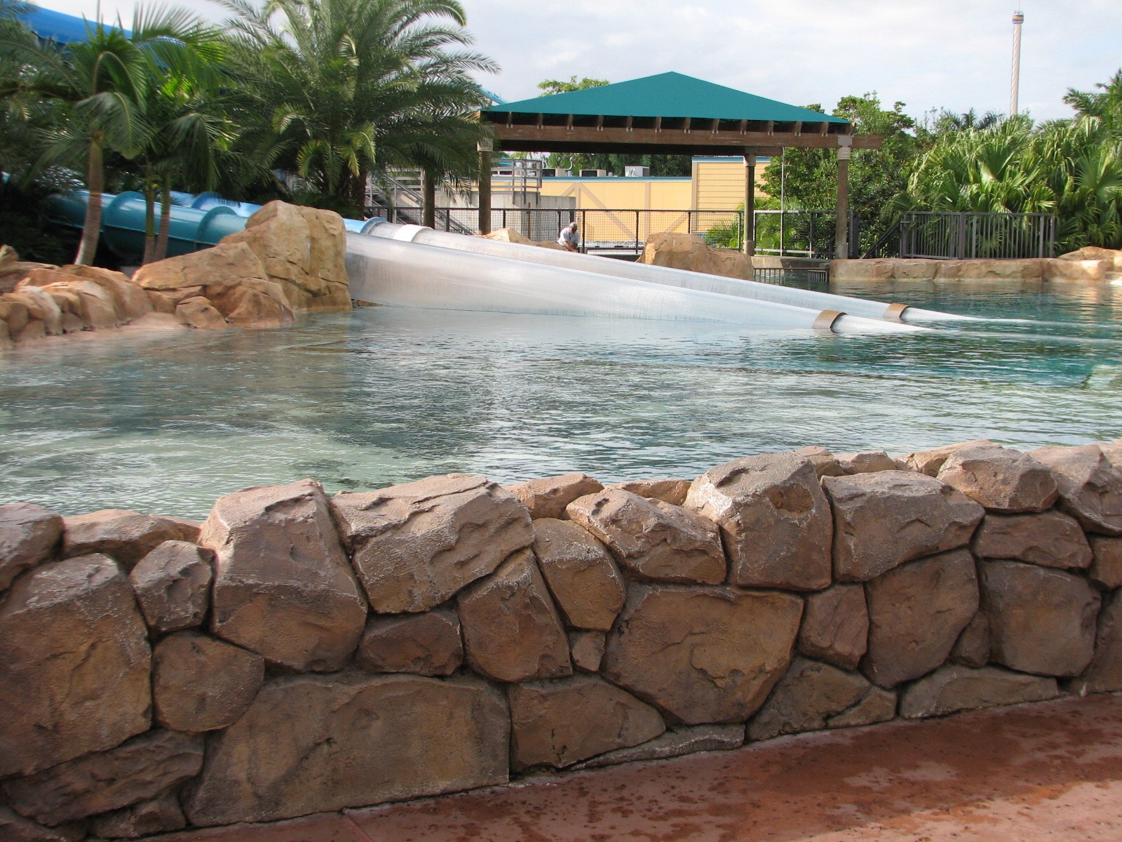 Aquatica - Dolphin Plunge - Commerson's Dolphin Exhibit Surface Viewing Are