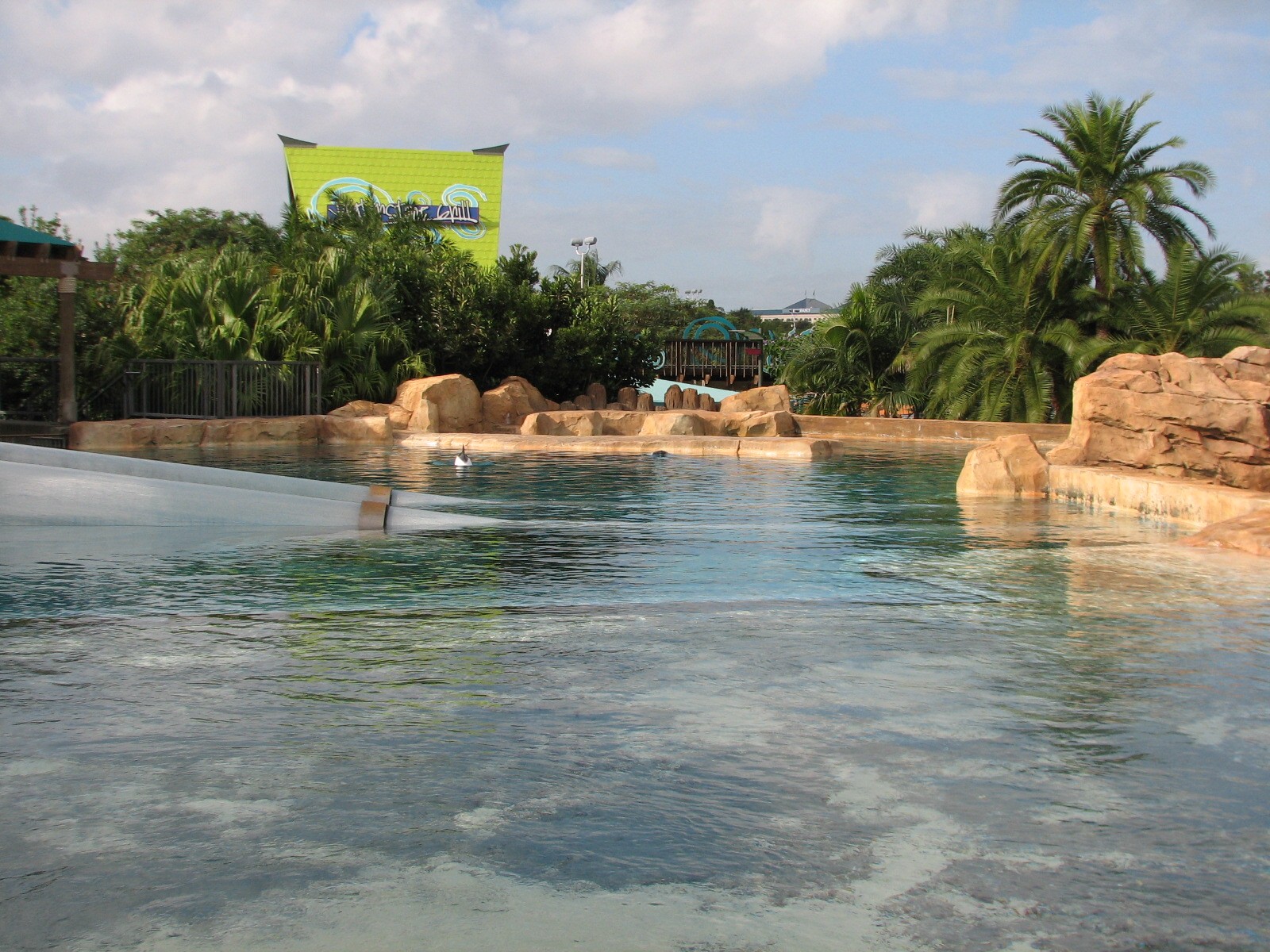 Aquatica - Dolphin Plunge - Commerson's Dolphin Exhibit
