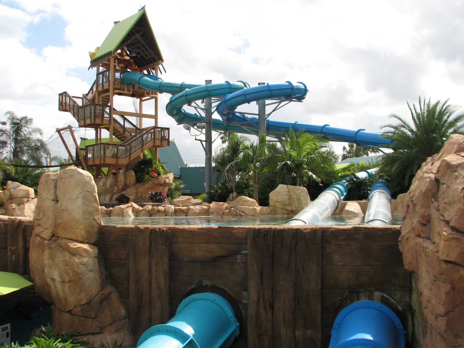 Aquatica - Dolphin Plunge - Waterslide Tower