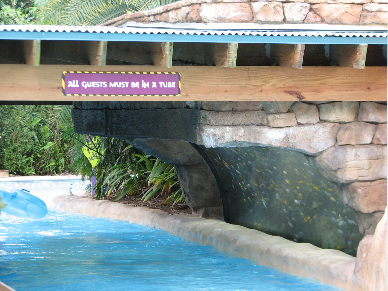 Aquatica - Fish Grotto