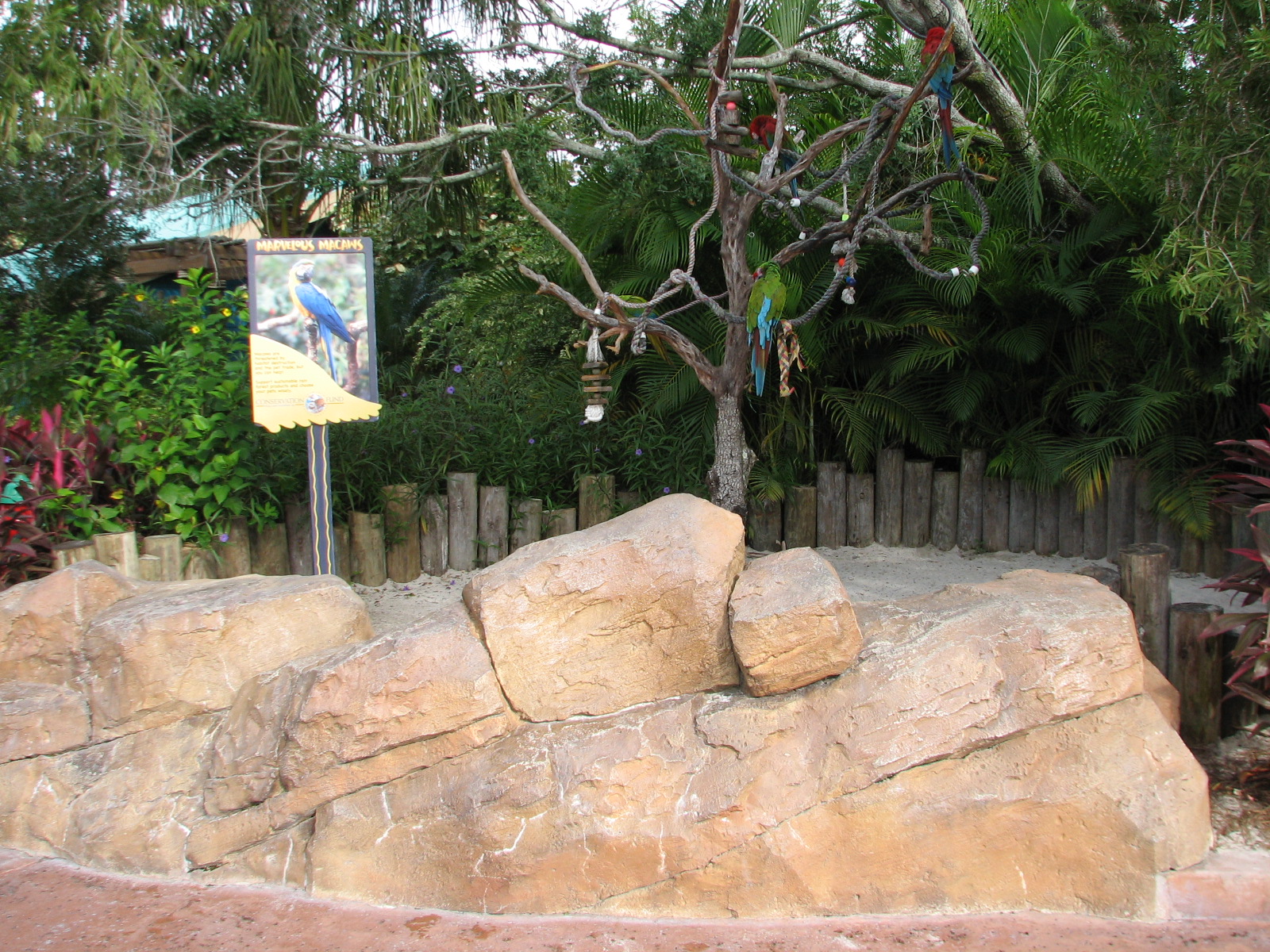 Aquatica - Marvelous Macaws Exhibit
