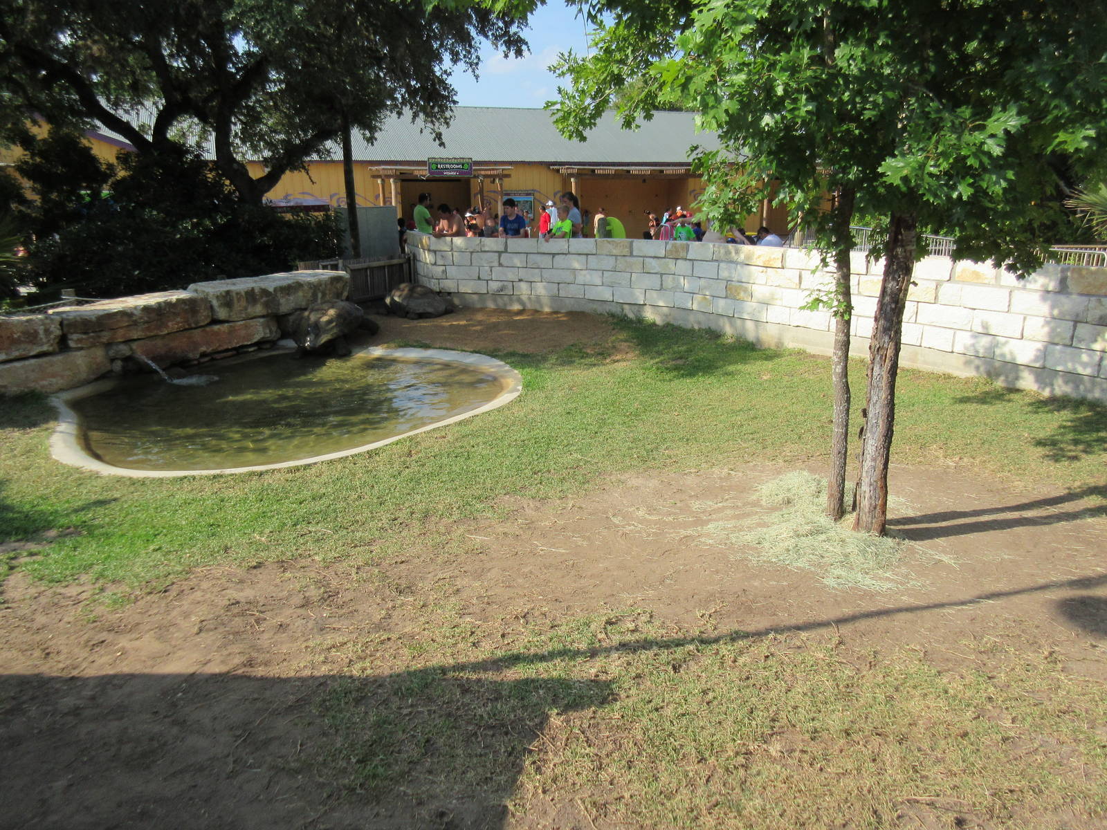 Aquatica San Antonio - Aldabra Tortoise Exhibit