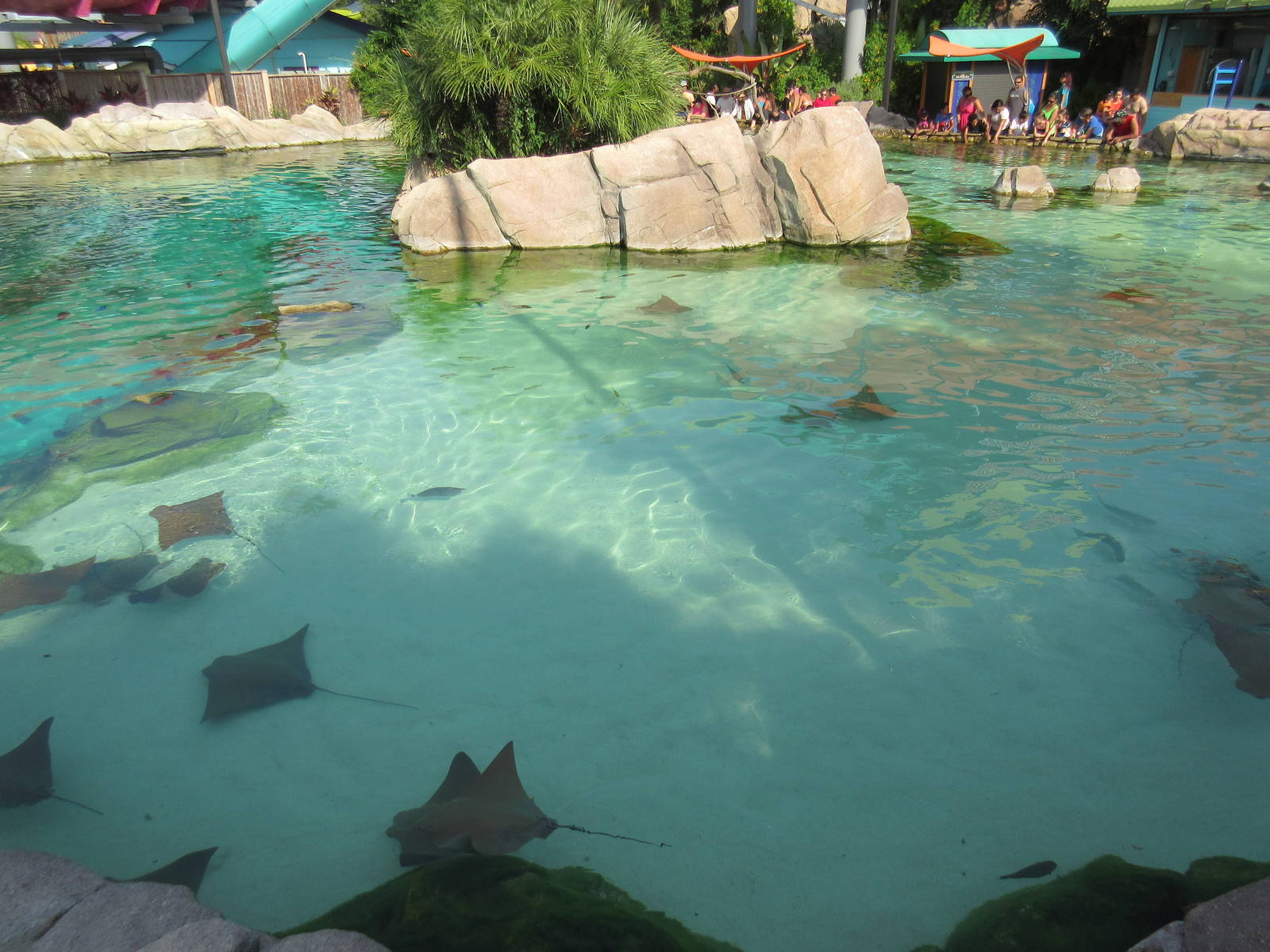Aquatica San Antonio - Huge Stingray Pool