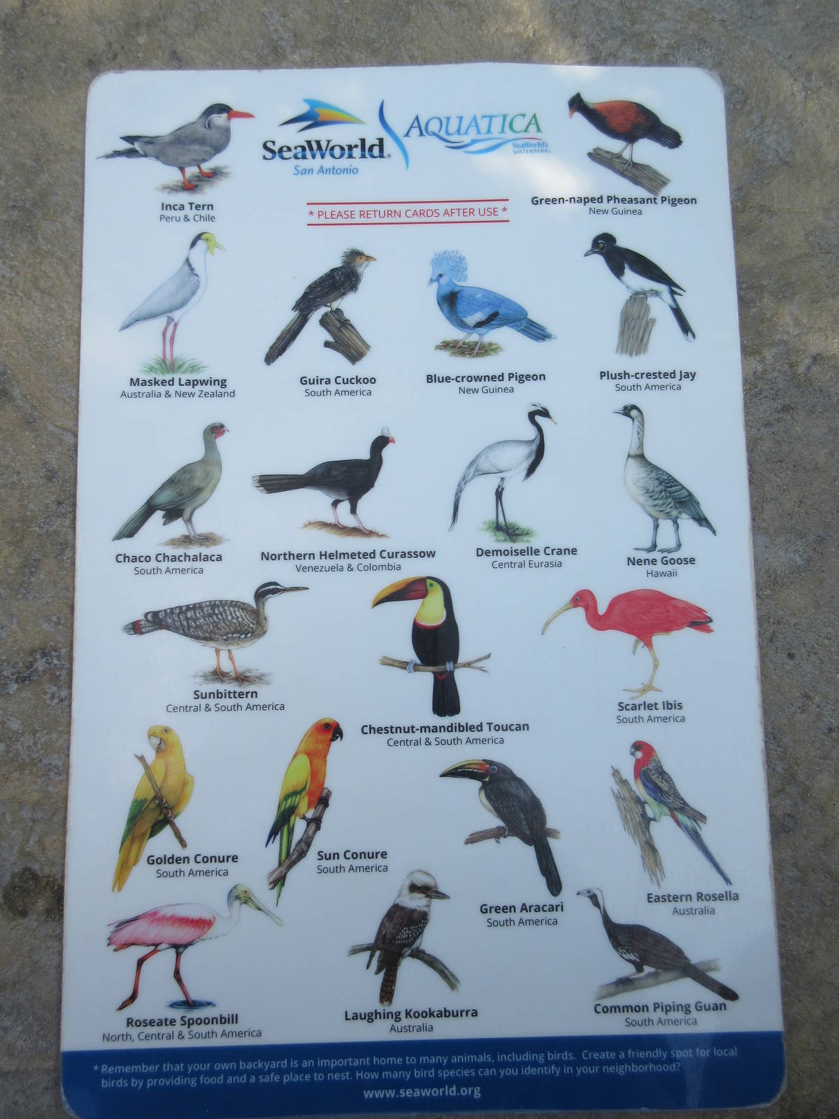 Aquatica San Antonio - Roa's Aviary (13,500 sq. ft. and opened in 2014)