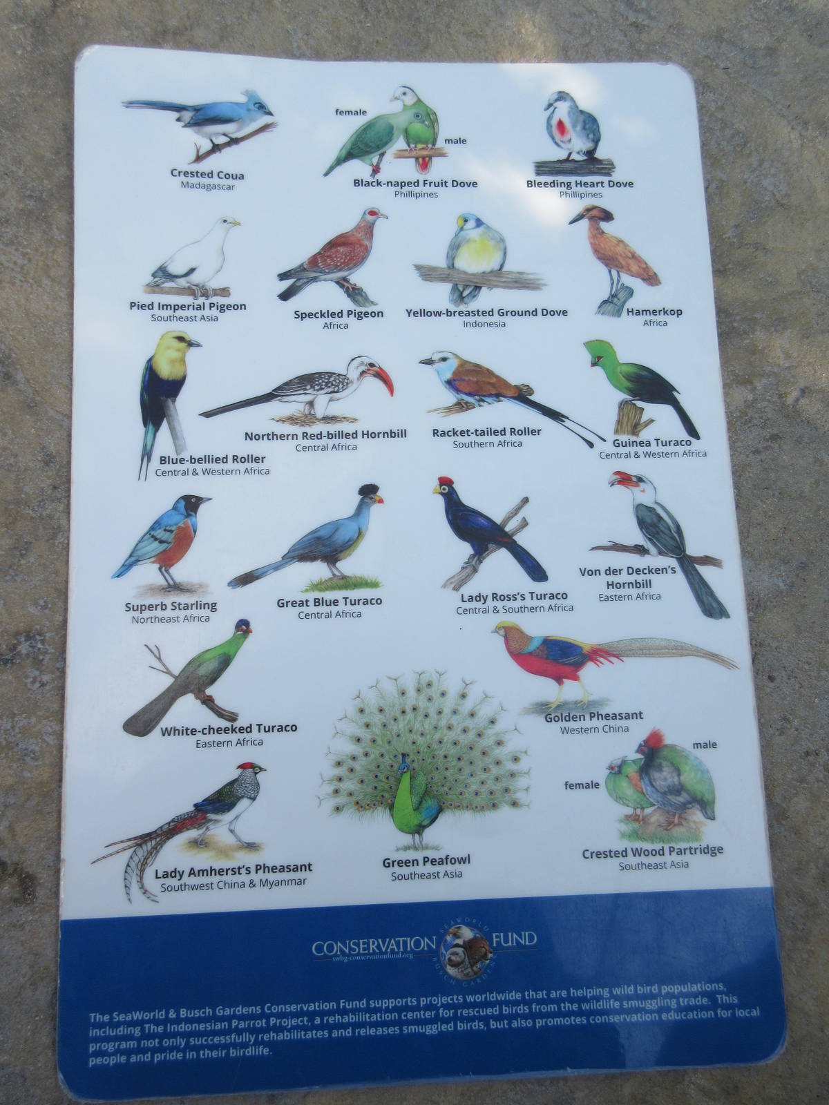 Aquatica San Antonio - Roa's Aviary (13,500 sq. ft. and opened in 2014)