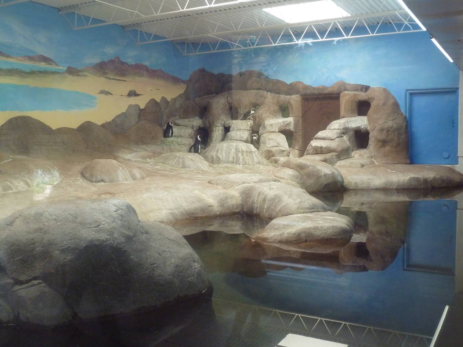 Aquatics Building - African Penguin Exhibit