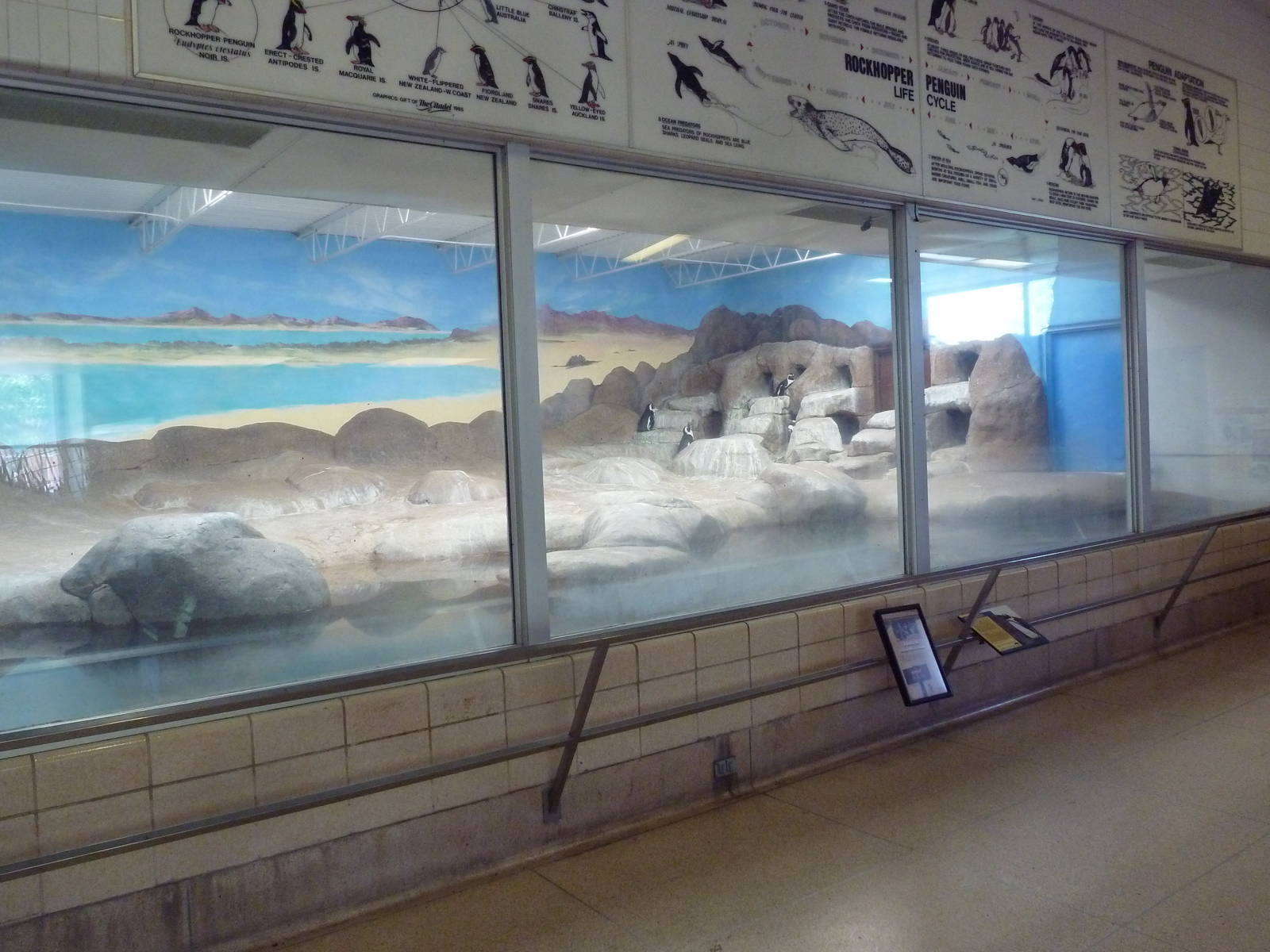 Aquatics Building - African Penguin Exhibit