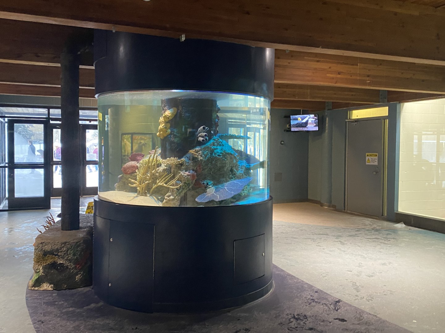 Aquatics Building - Future Red Lionfish Tank