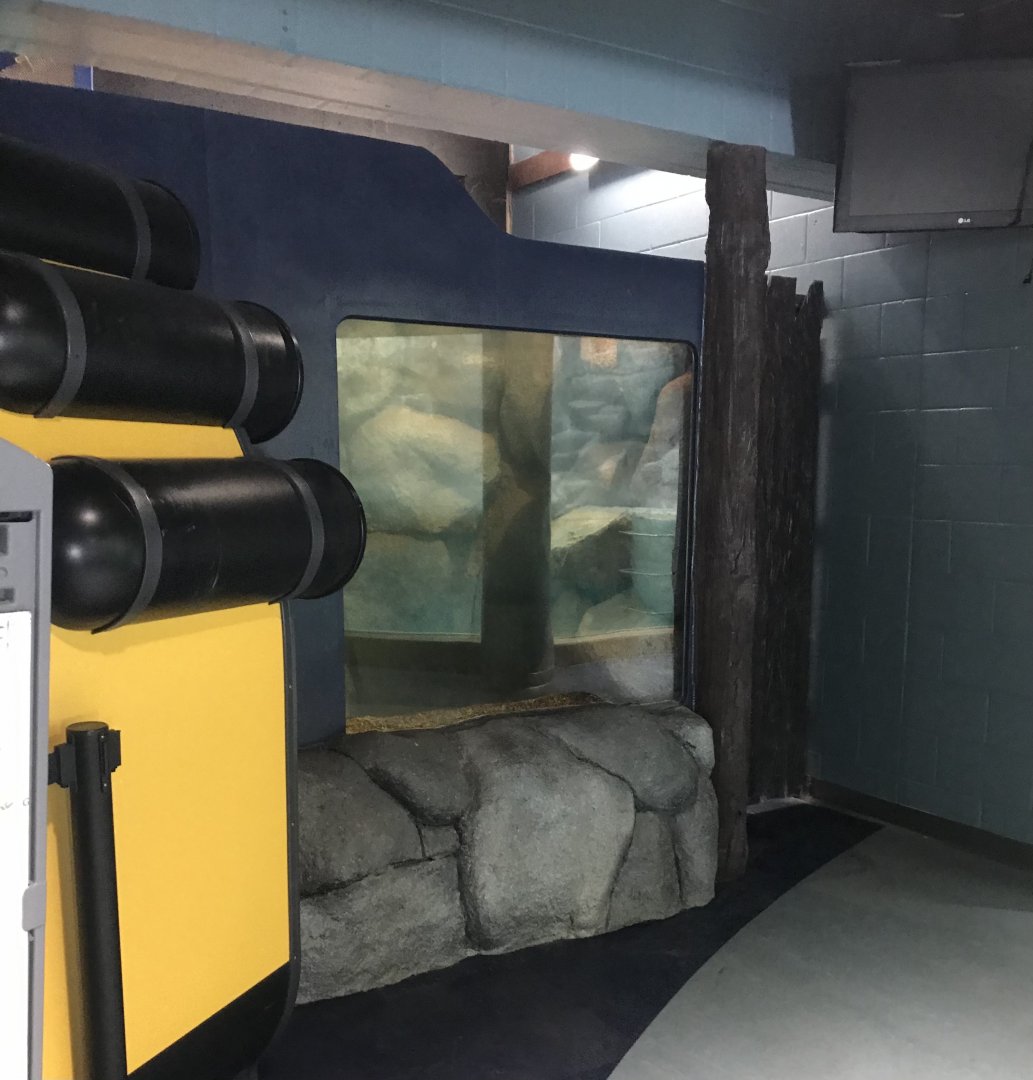 Aquatics Building- future tank