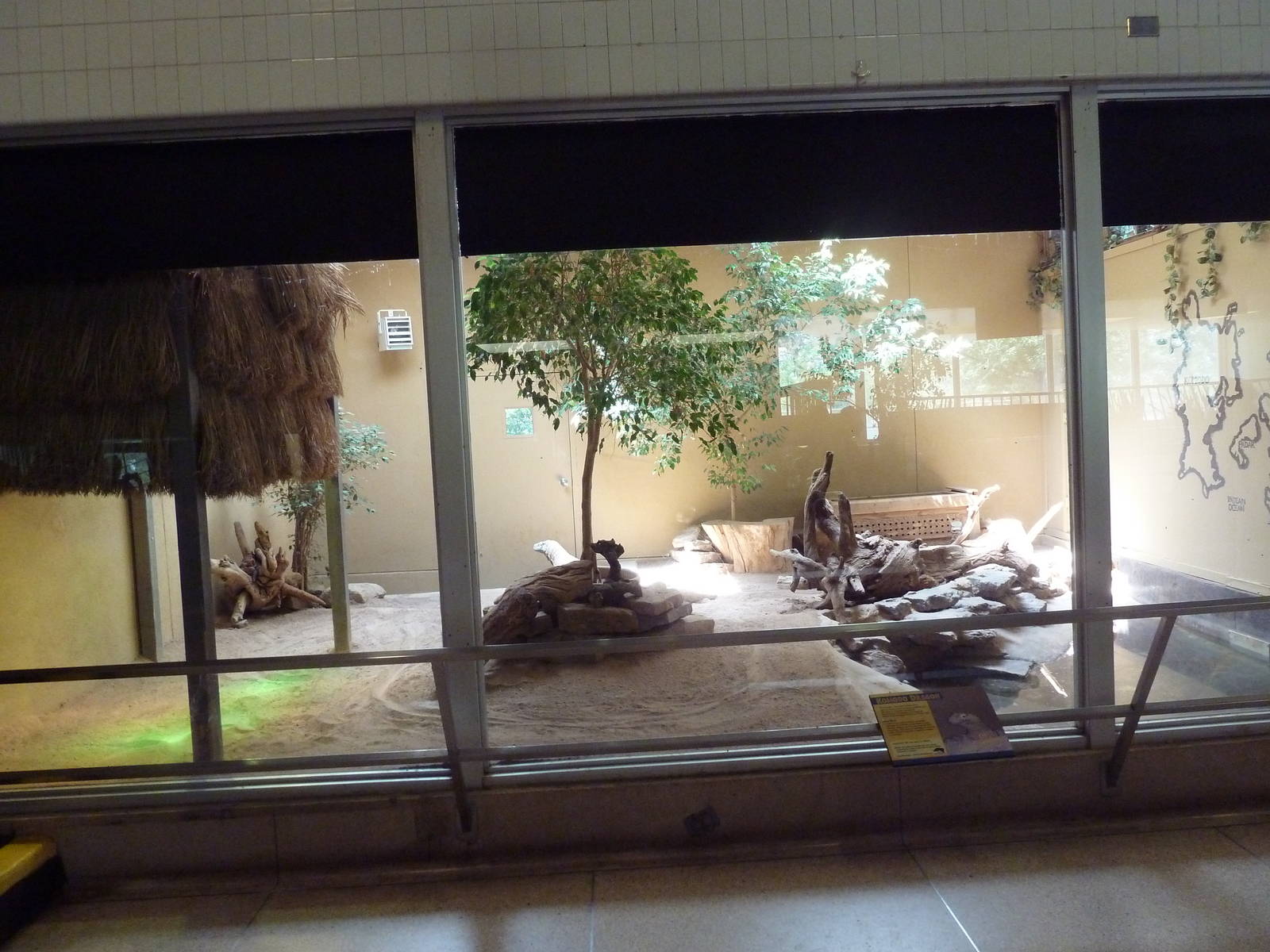 Aquatics Building - Komodo Dragon Exhibit