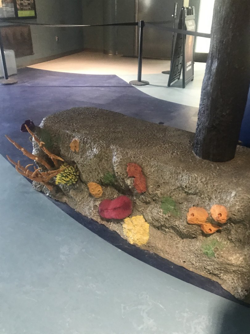 Aquatics building- mock-rock coral bench