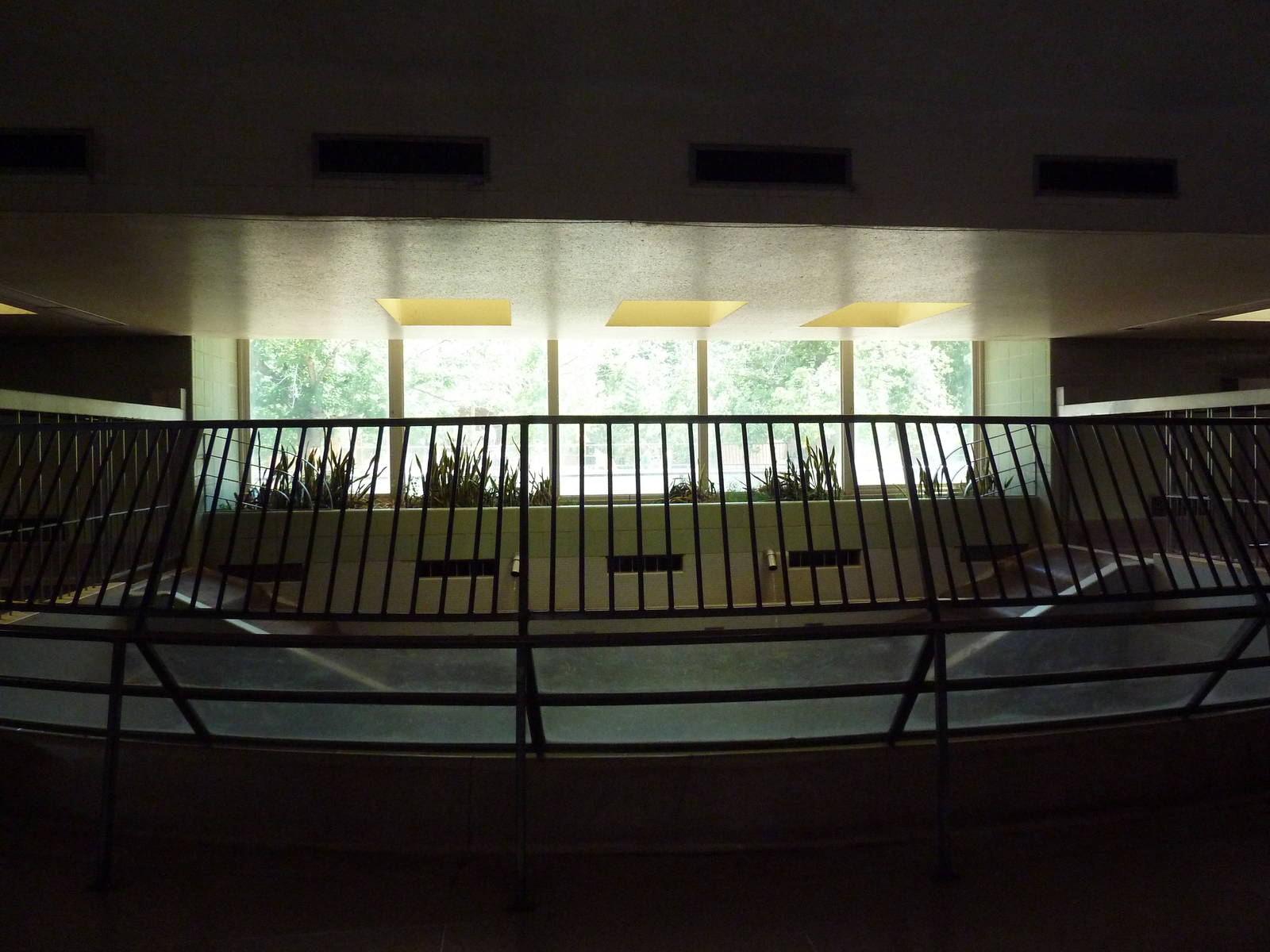 Aquatics Building - Nile Hippo Indoor Exhibit