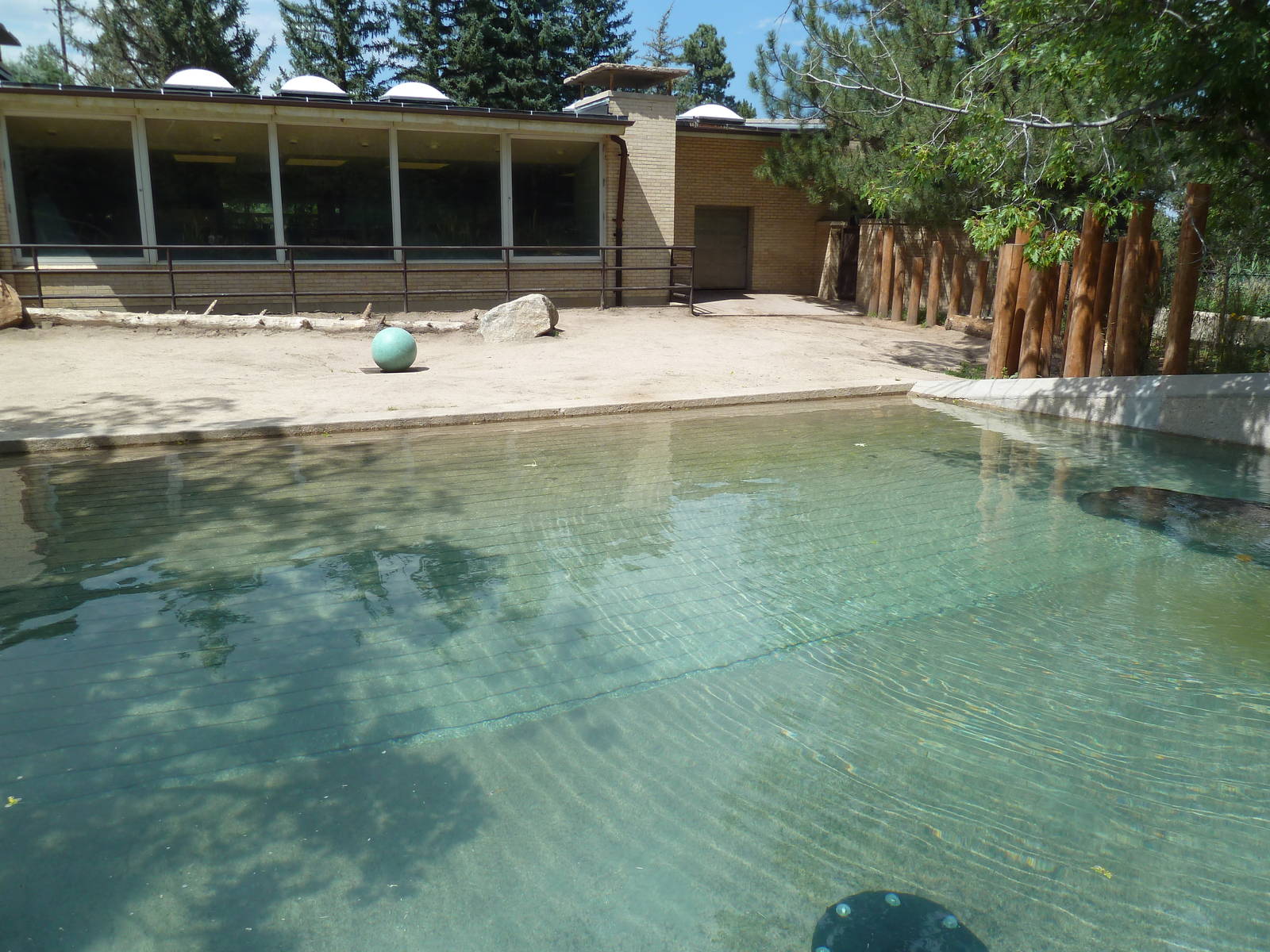 Aquatics Building - Nile Hippo Outdoor Exhibit