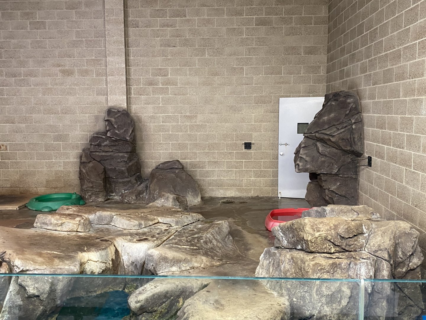 Aquatics Building - Pinniped Indoor Exhibit