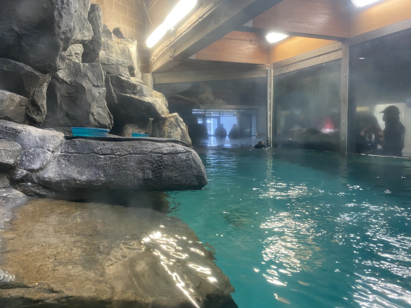 Aquatics Building - Tufted Puffin Exhibit