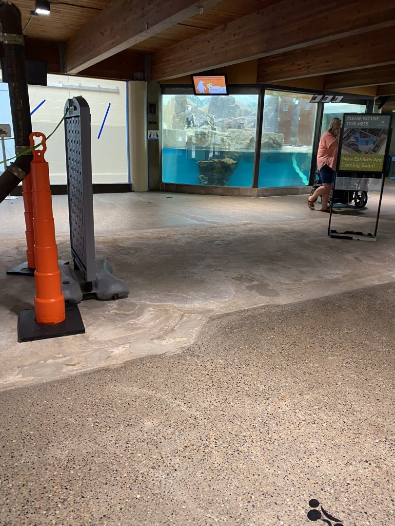 Aquatics- former freshwater fish tanks