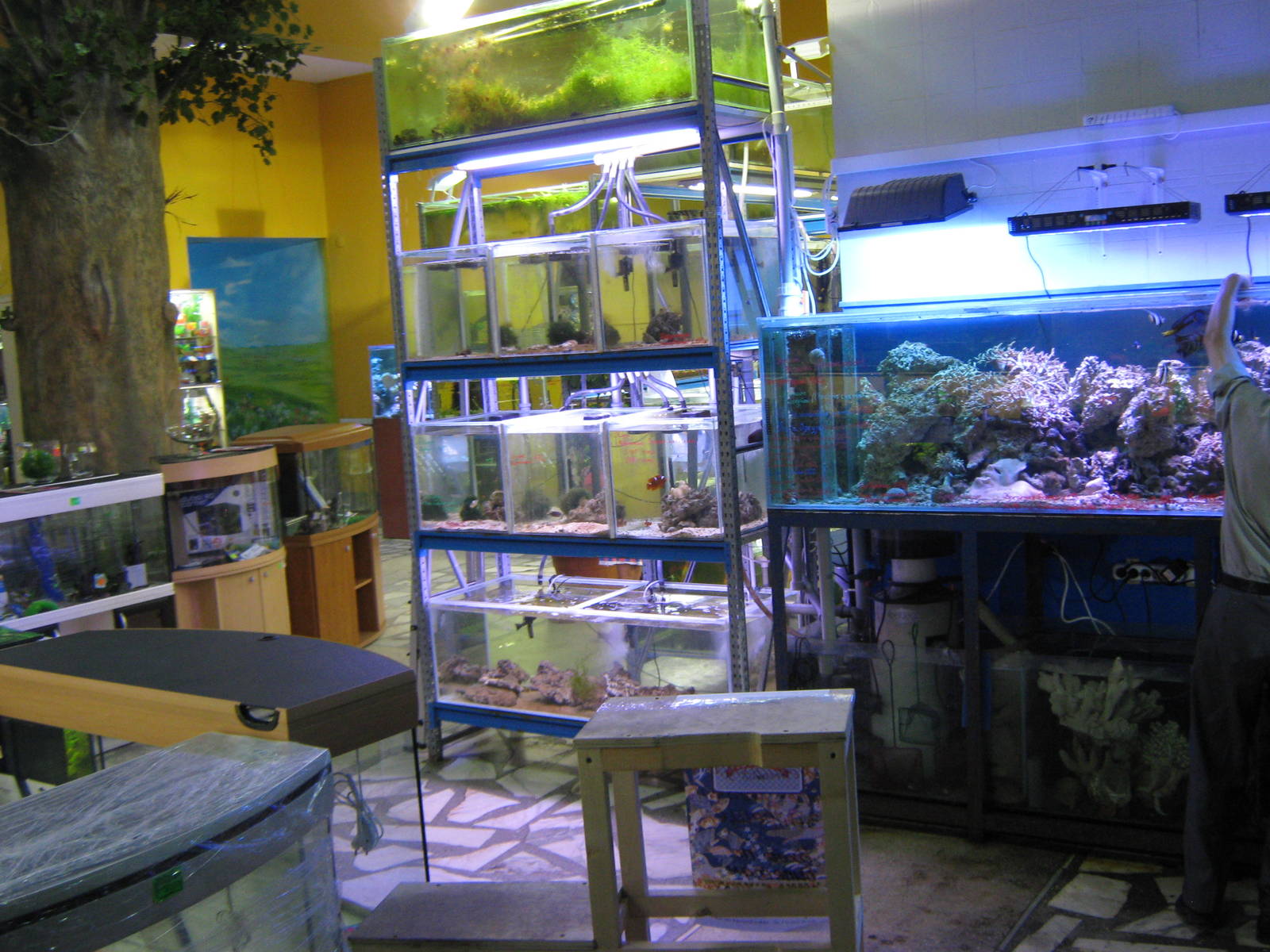 aquatics shop