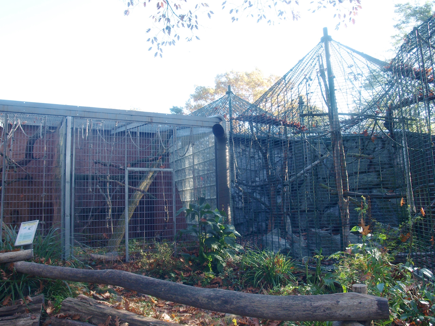 Äquatorium - Primate outdoor cage and Mandrill outdoor cage (Now no longer visible), 2014-10-19
