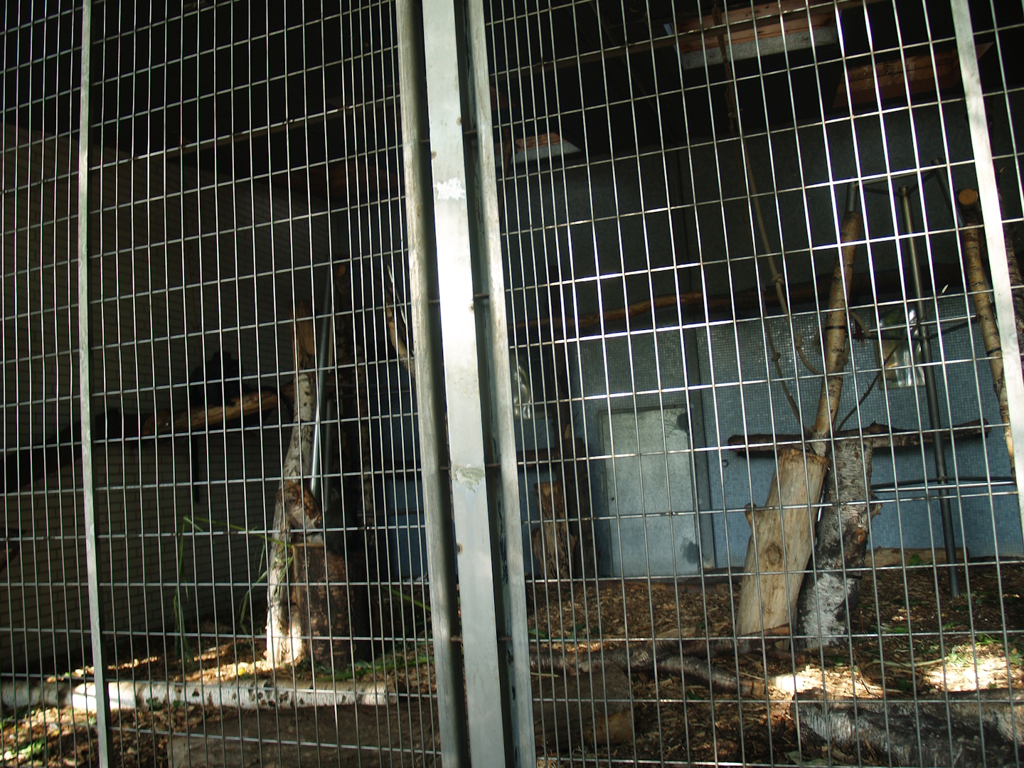 Äquatorium - Primate outdoor cage (Now no longer visible), 2008-08-06