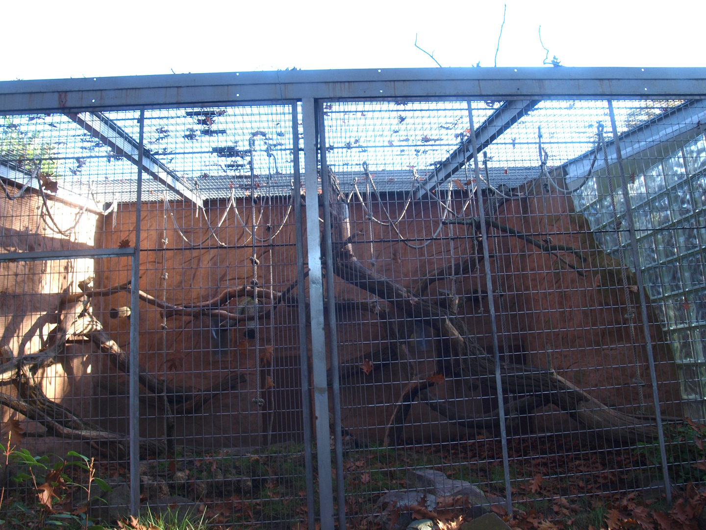 Äquatorium - Primate outdoor cage (Now no longer visible), 2014-10-19