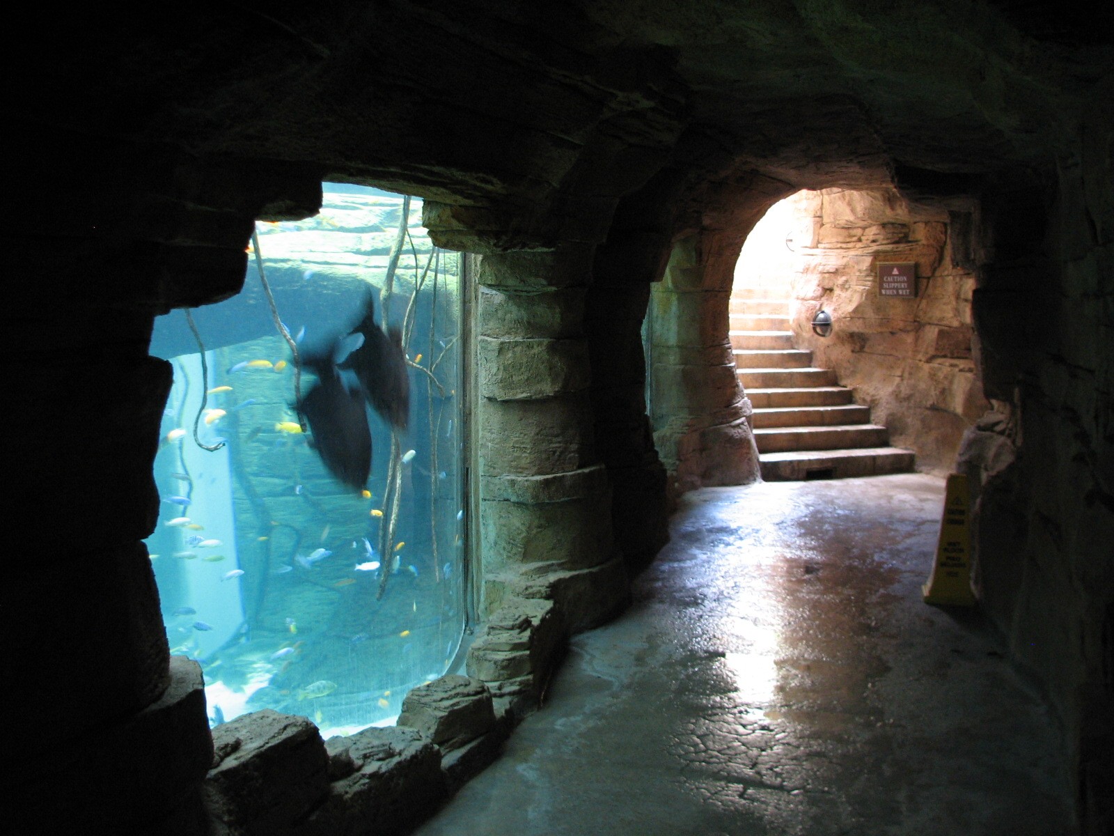 Aquaventure - Cenote - Entry