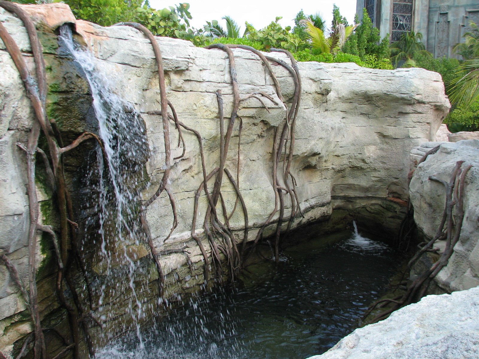 Aquaventure - Cenote - Top View of Aquarium