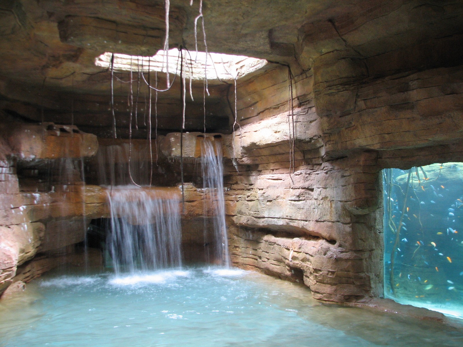 Aquaventure - Cenote - Waterslide Splashpool and Aquarium
