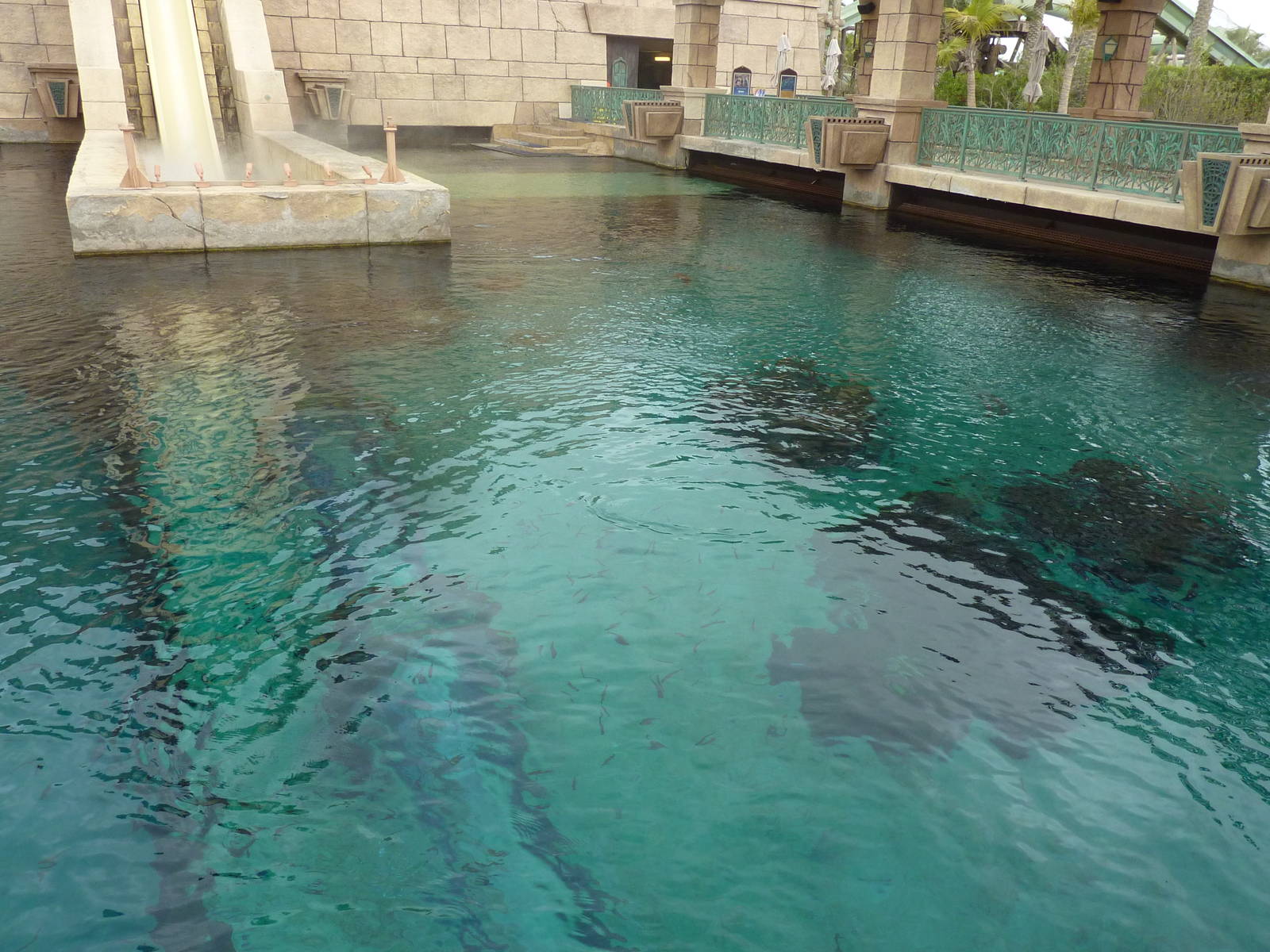 Aquaventure tank from above