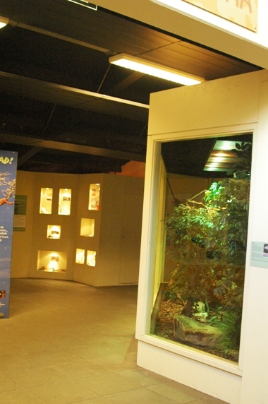 Aquazoo Friesland in Leeuwarden (NL) Naturama 2008