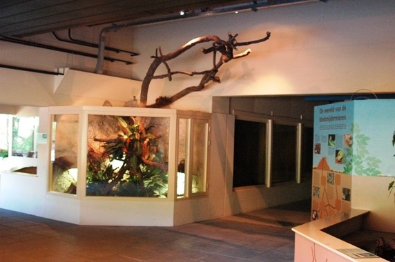 Aquazoo Friesland in Leeuwarden (NL) Naturama 2008