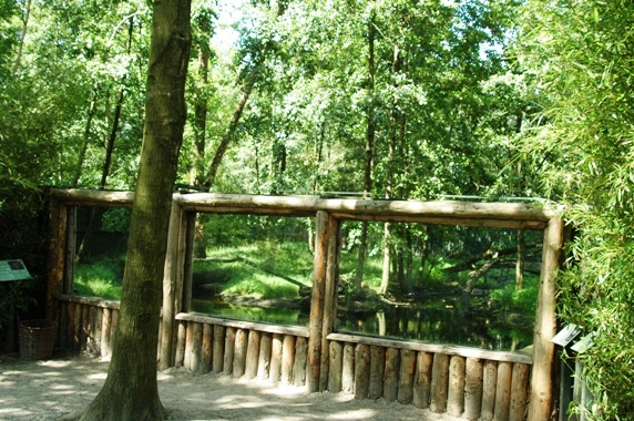 Aquazoo Friesland in Leeuwarden (NL) Panda+muntjak 2008