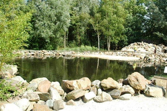 Aquazoo Friesland in Leeuwarden (NL) Penguin 2008