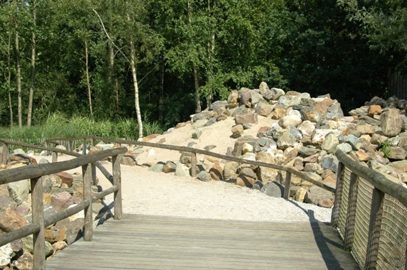 Aquazoo Friesland in Leeuwarden (NL) Penguins 2008