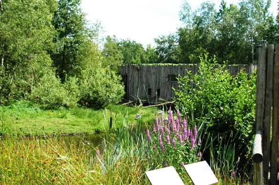 Aquazoo Friesland in Leeuwarden (NL) squirrelmonkey 2008