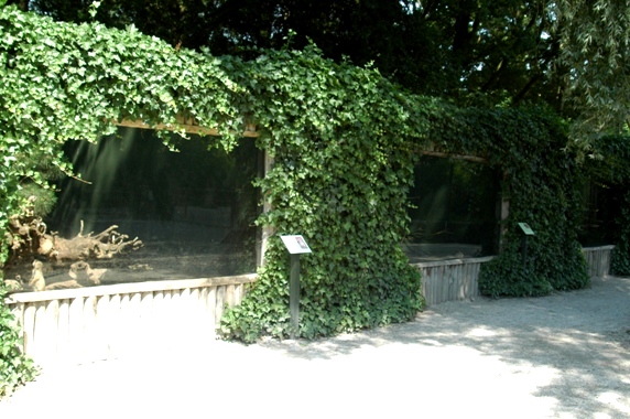 Aquazoo Friesland in Leeuwarden (NL) squirrels 2008