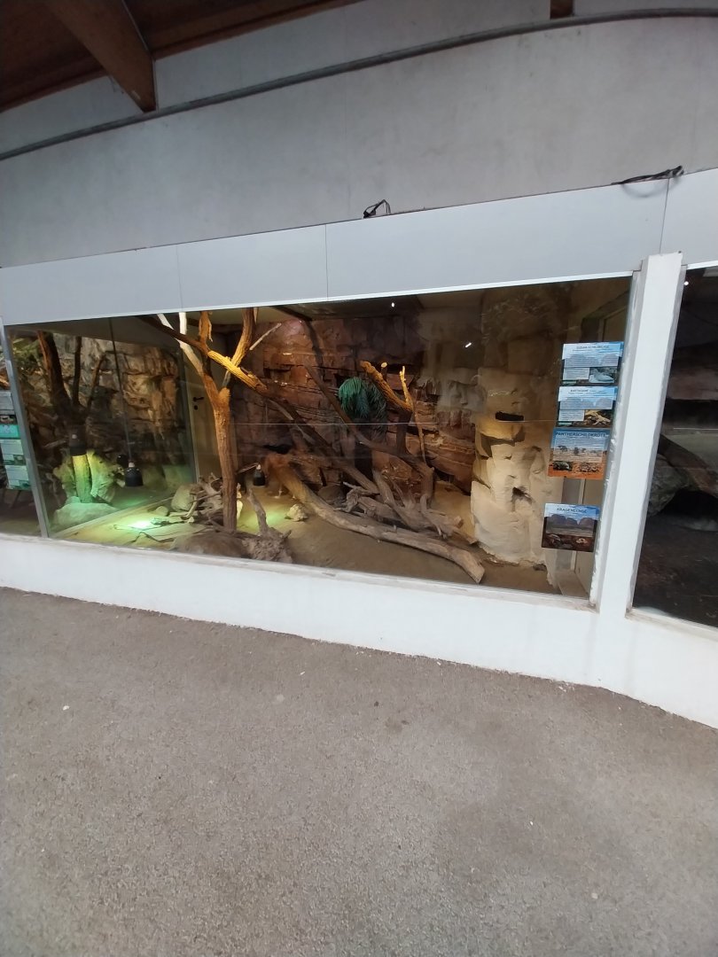 Aquazoo Schmiding - Dry Africa terrarium