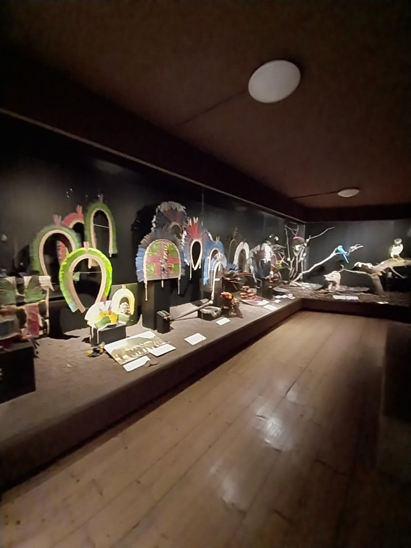 Aquazoo Schmiding - Evolution museum - Amazon