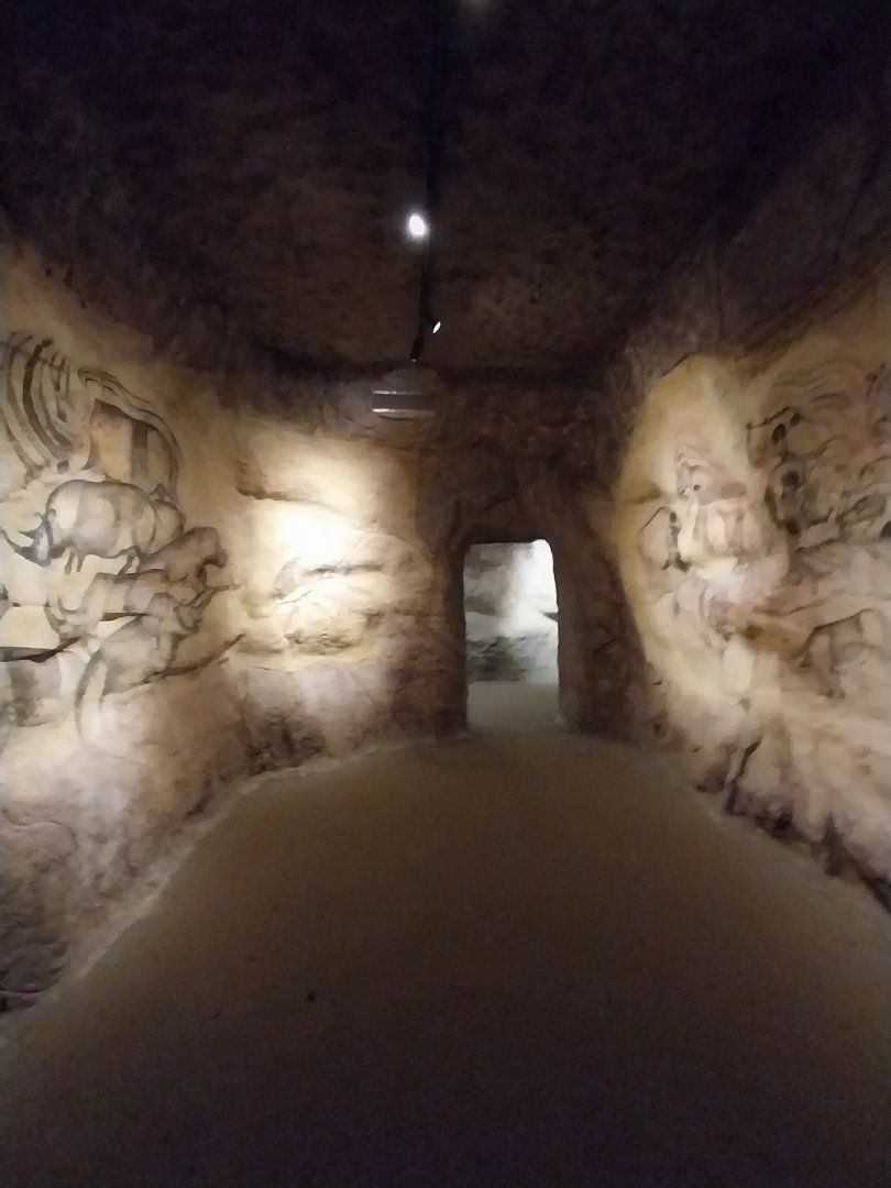 Aquazoo Schmiding - Evolution museum - Ancient animal drawings