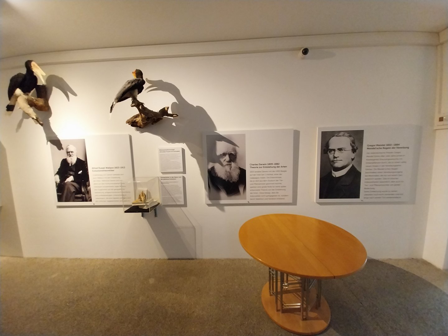 Aquazoo Schmiding - Evolution museum - The godfathers of evolution