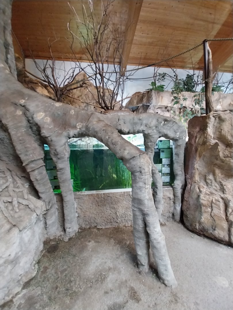 Aquazoo Schmiding - Lebensraum Amazonas -Ciclids