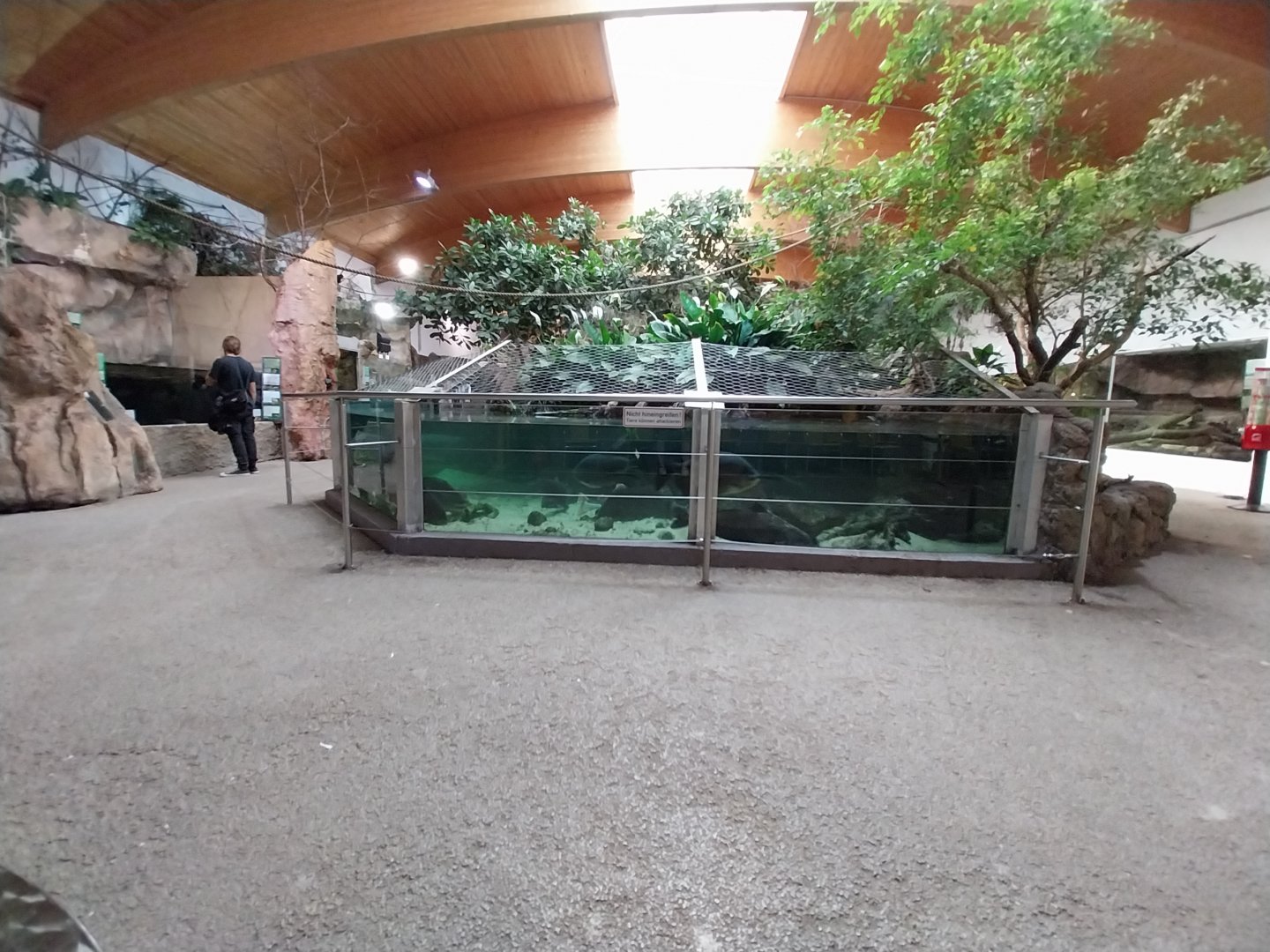 Aquazoo Schmiding - Lebensraum Amazonas - Giants of the Amazon