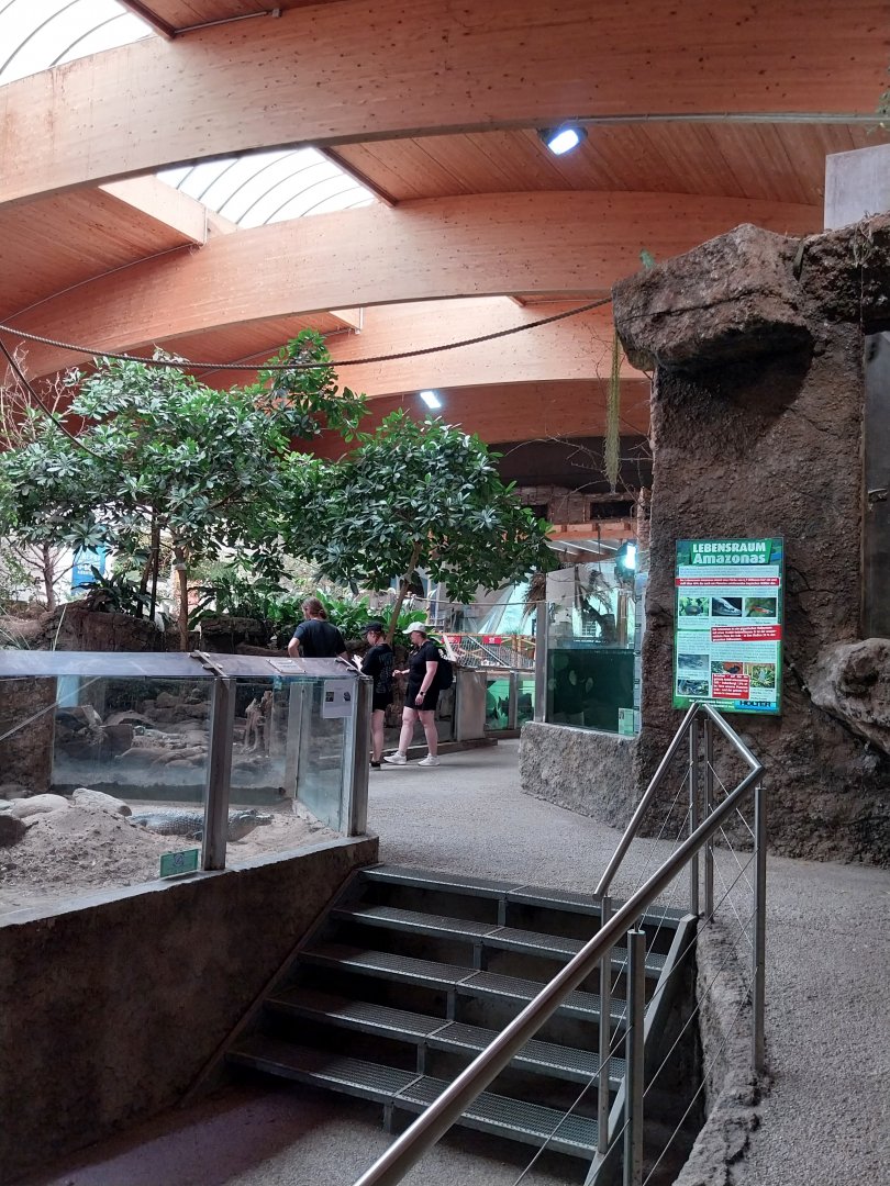 Aquazoo Schmiding - Lebensraum Amazonas