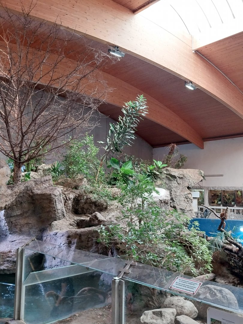 Aquazoo Schmiding - Lebensraum Amazonas