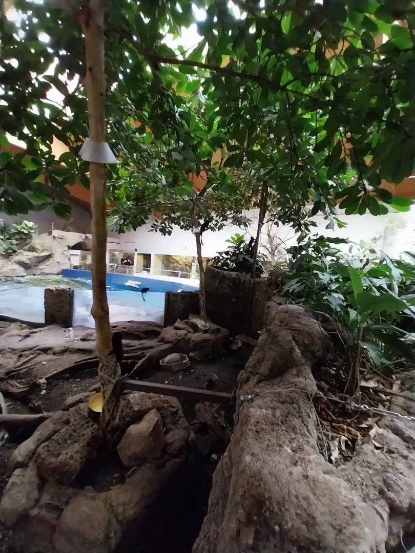 Aquazoo Schmiding - Lebensraum Amazonas