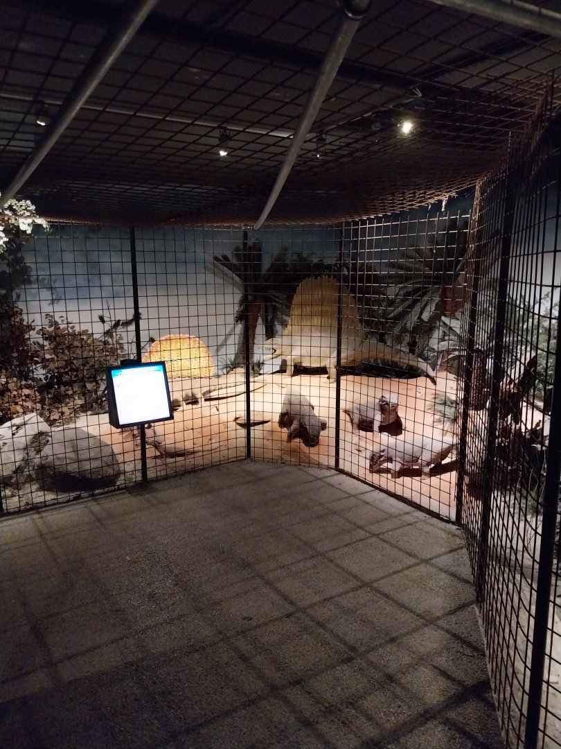 Aquazoo Schmiding - Life in the Paleozoic